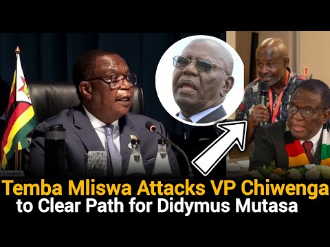 Breaking Sehen Sie Wie Temba Mliswa Vizepräsident Chiwenga Angreift Um Den Weg Für Didymus Muta