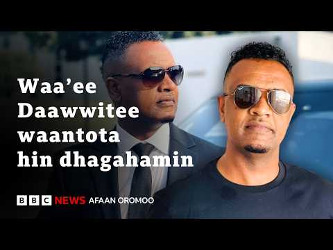 Qabsoo Oromoof Malee Ani Hoolaa Hatee Biyyaa Hin Baane Daawwitee BBC News Afaan Oromoo