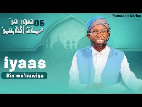 Sheikh Amin Ibro Seenaa Iyaas Bin Wu Aawiya