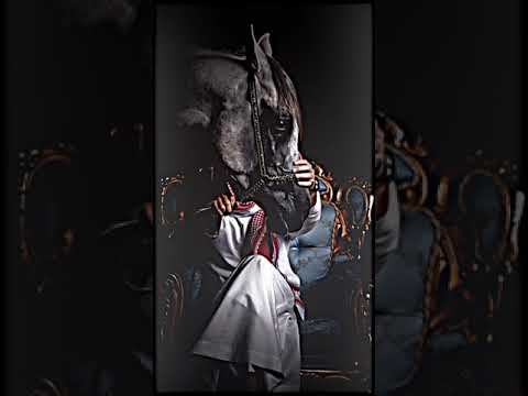 خلفيات للعرب