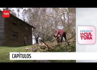 Máfil Frutos Del País