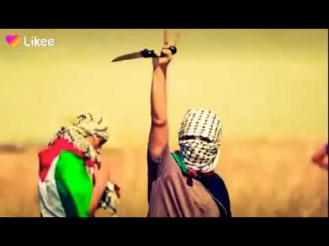 يما مويل الهوى بدون موسيقى