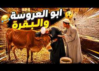 ابو العروسة باع البقرة عشان يجوز بنته الجزء الاول