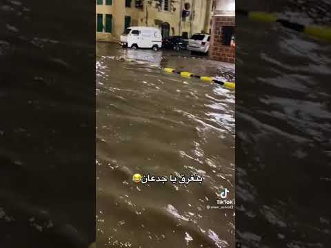 اسكندريه بتغرق