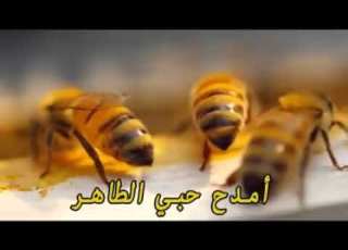  لست أنسى الأحباب رشيد غلام