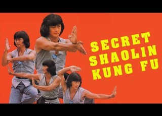  Wu Tang Collection Secret Shaolin Kung Fu English Dub