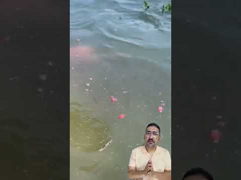 اغرب طريقة صيد سمك