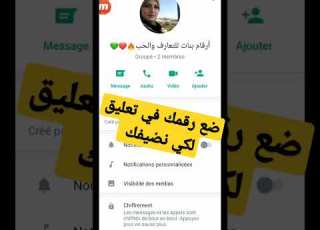  أرقم واتساب من مصر لتعارف والحب