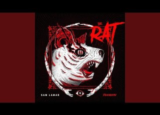 The Rat