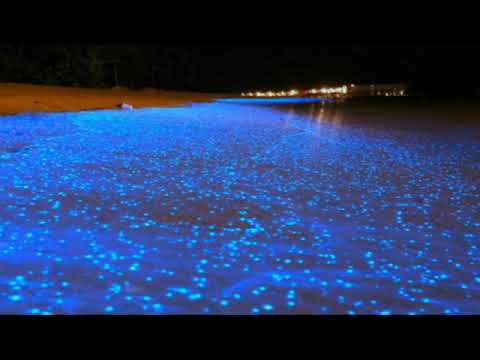 موسيقى هادئة تزيل الإكتئاب و الضغط النفسي و تجعل الروح اكتر سعادة