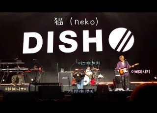 251114 DISH 딧슈 猫 네코 고양이 Neko WONDERLIVET 원더리벳 내한공연