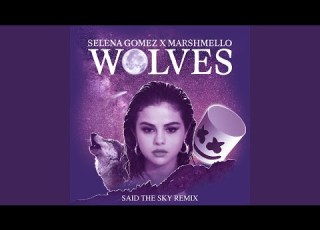Wolves Said The Sky Remix