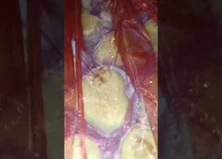  ألف ألف ألف ألف مبروك لزواج إبن أختي