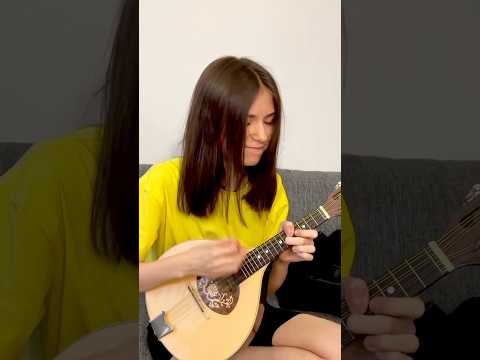 Индийская песня на необычном инструменте