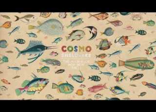 Cosmo Sheldrake Come Along Instrumental