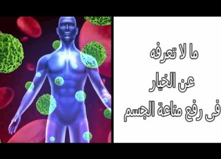  اهمية الخيار في رفع مناعة الجسم