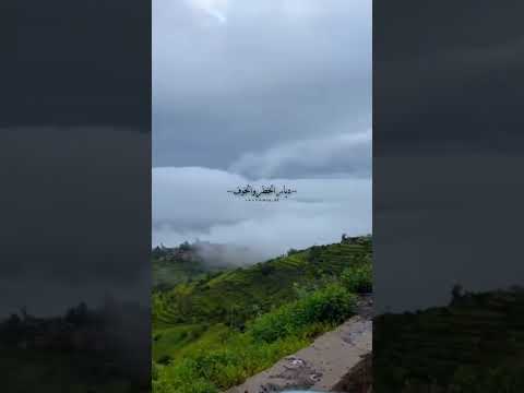 احبك لو ان في ديار الخطر والخوف ذوق تفاعلوا شيلات شيلة سلطان البريكي غريب ال مخلص