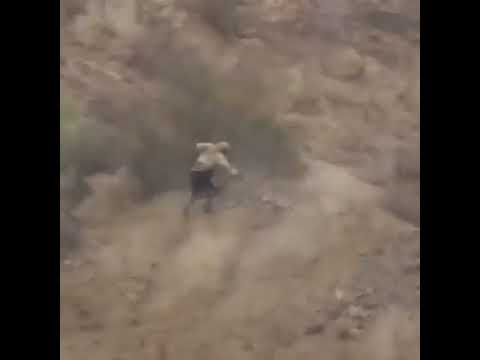 حرب عنيفة مسافة صفر