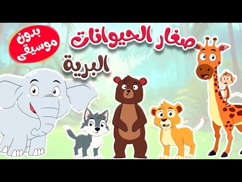 أغنية صغار الحيوانات البرية بدون موسيقى