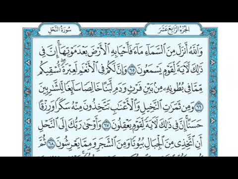 تلاوة سورة النحل من الآية 65 إلى الآية 69 تلاوة سورة النحل من الآية 65 إلى الآية 69