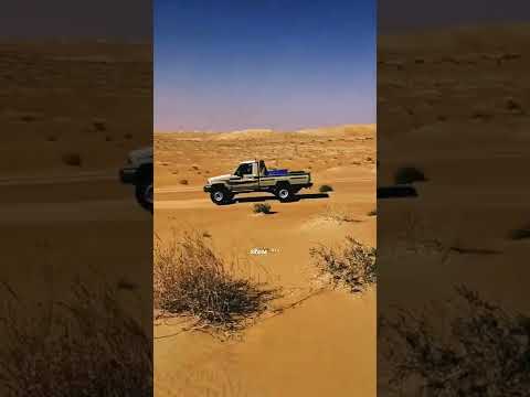 ذهب خوتنا ذهب شيلات تصاميم شاص الرمله الربع الخالي نجران حصري Short