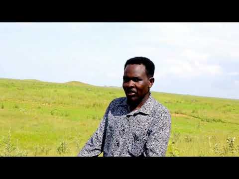 ابراهيم خواجة