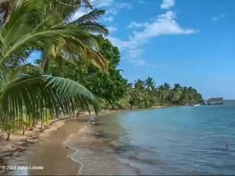 موسيقى ابراهيم تاتلس الجميع يبحث عنها ليلم لي حزين اسعدني بشتراك