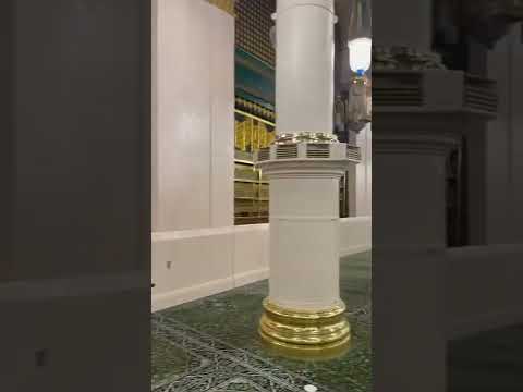 Riyaz Ul Jannah Ladies Side Viral Shorts Ytshorts