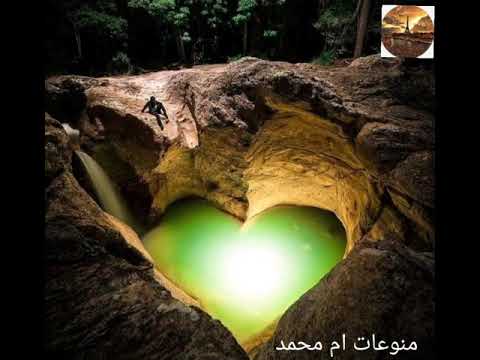 يا مساء الجمال على ابو عيون جمال