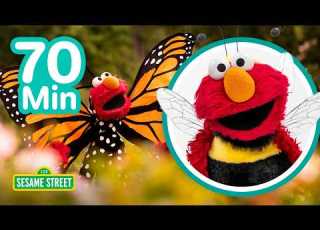 Elmo S Bug Party 70 Mins Sesame Street