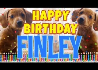 Happy Birthday Finley Funny Talking Dogs What Is Free On My Birthday