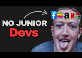  Why Junior Dev Jobs DON T EXIST