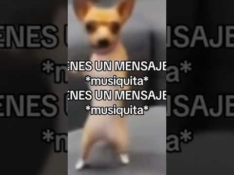 Tienes Un Mensaje Música Meme Xd 2024 Tienes Un Mensaje Música Meme Xd 2024