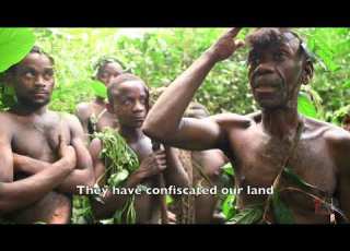  HOREB BULAMBO DOCU BANDE ANNONCE STOLEN FOREST