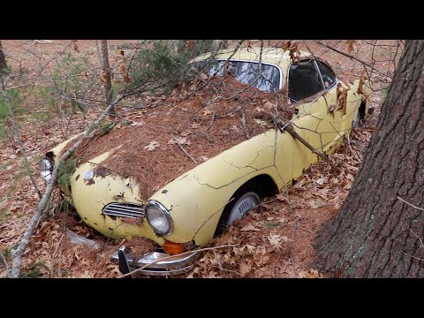 FREE Abandoned Car Sitting For 32 Years In The Woods Vw Rescue
