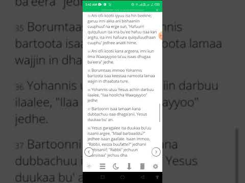 ERGAA WANGEELAA YOHANIS 1 1 51