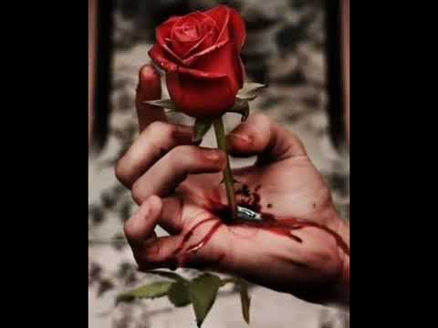 خسرت معاك وراني ندمانة