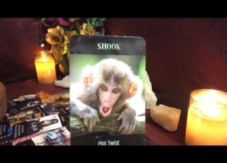  Wow I Hope You Re Ready For This Tarot Reading