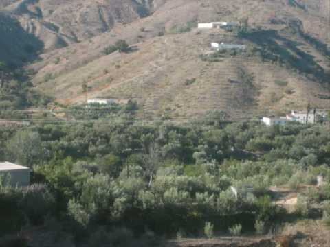 Najat Tazi Ithran Ogena