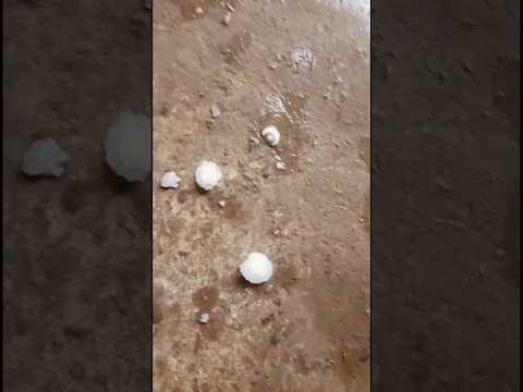 Watui Shortsvideo Youtubeshorts Wow Reksana Reang2931