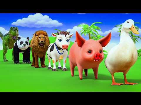 دعاء خاشع في اليوم التاسع من شهر رمضان المبارك دعاء خاشغ تهتز له القلوب Doa Ramadan علاء عقل