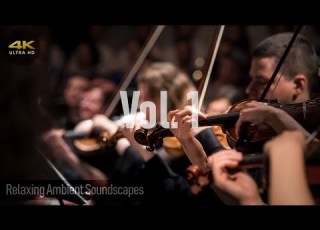  Relaxing Classical Music Vol 1 Hi Res 24 Bit 192kHz FLAC Audio