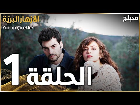 مسلسل الأزهار البري ة الحلقة 1 مدبلج Yaban Çiçekleri