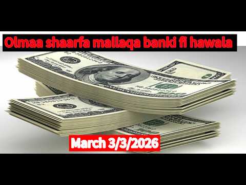 Mach 3 3 2026 Olmaa Jijjirraa Mallaqa Banki Gabaa Guraachaan