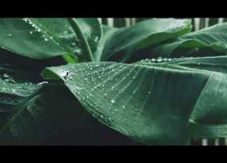 Edge Of The World Rain Song