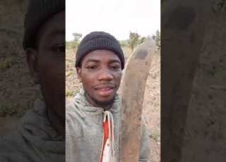  Biti The Yam Farmer