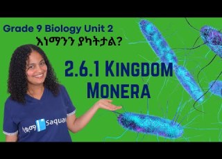 Grade 9 Biology Unit 2 2 6 1 Kingdom Monera Saquama ሳቋማ