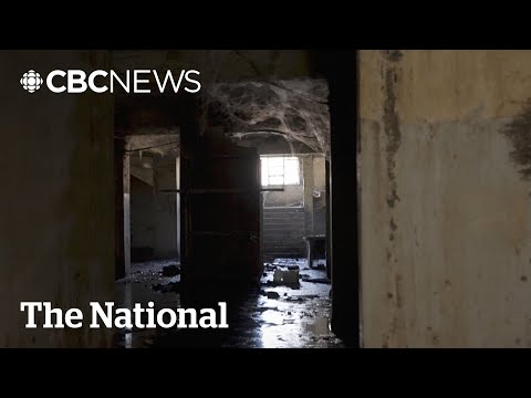 Leaked Files Show Evidence Of Assad Regime S Brutality In Syria