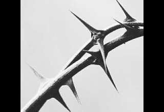 Drake 21 Savage Major Distribution Destxmido Remix