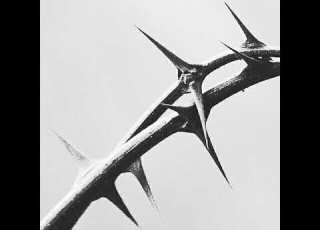 Drake 21 Savage Major Distribution Destxmido Remix